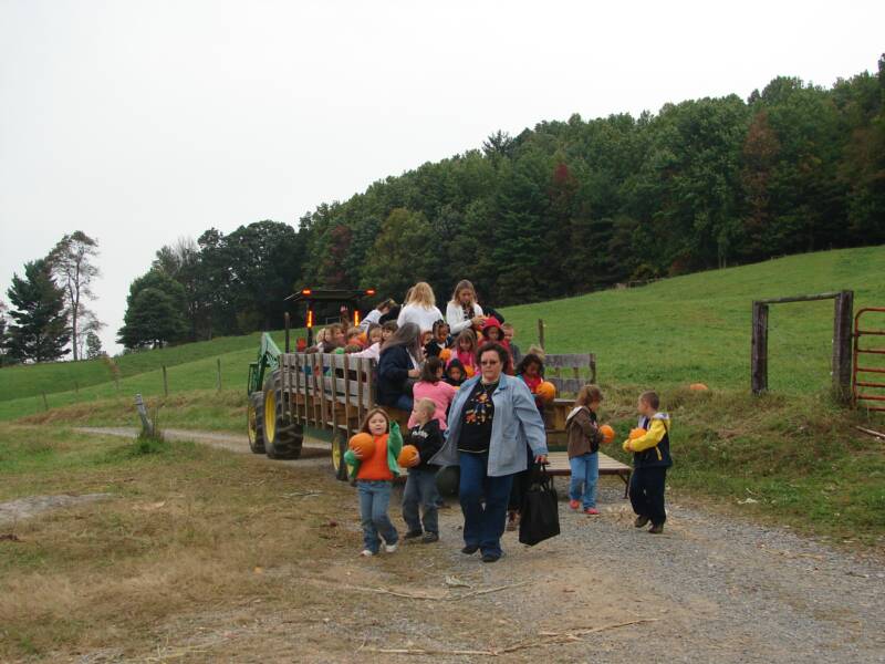 Lets put our pumpkins on the bus