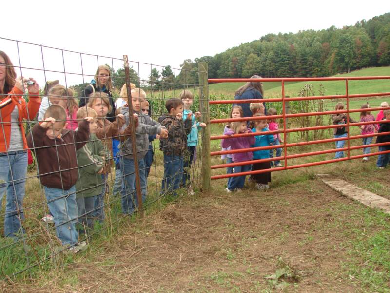 students lining the fence to learn about the farm animals