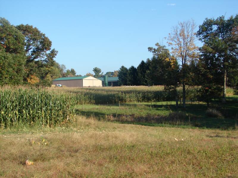 The view from the pumpkin patch