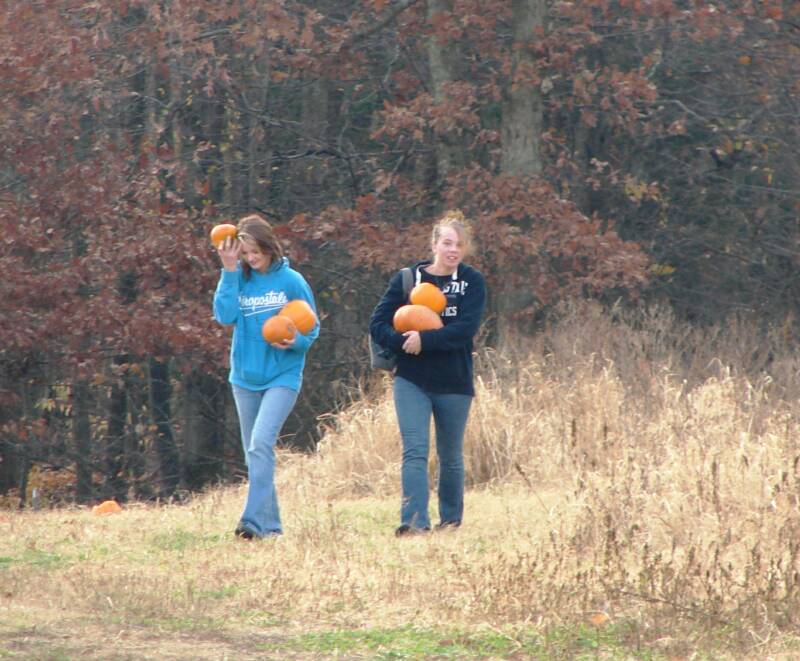 Brittany and Natasha enjoyed a day down on the farm