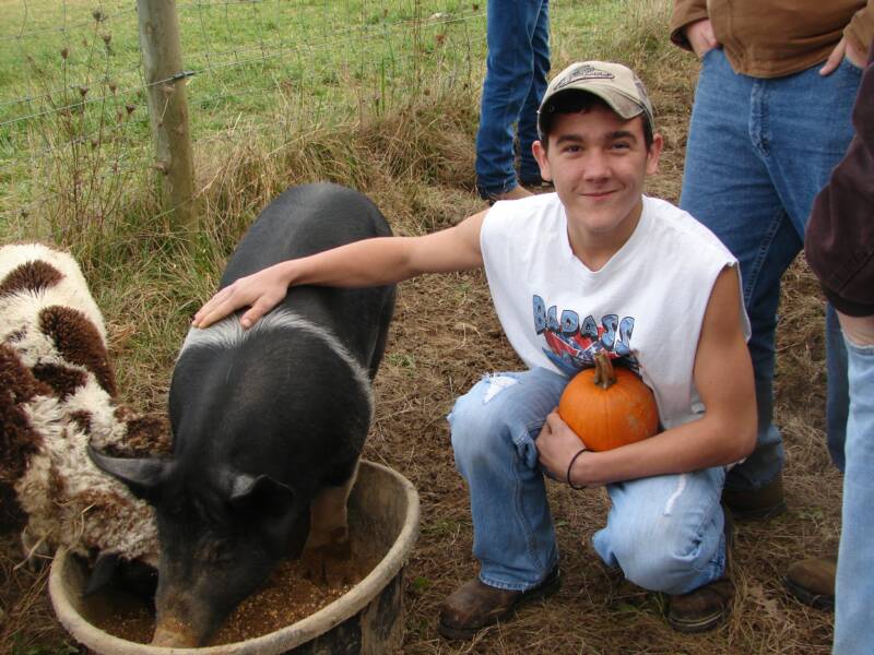 BJ wants a cool pig like purple
