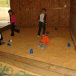 Playing in the corn box
