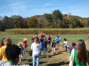Lets run to the corn maze
